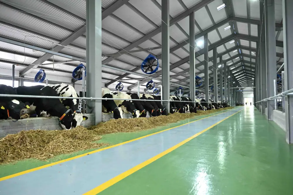 СОЦИАЛЬНЫЕ УЧРЕЖДЕНИЯ ТУРКЕСТАНСКОЙ ОБЛАСТИ ПЕРЕХОДЯТ НА МЕСТНУЮ ПРОДУКЦИЮ (9)