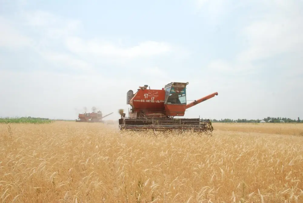 76 оросительных каналов отремонтируют в Жамбылской области (4)