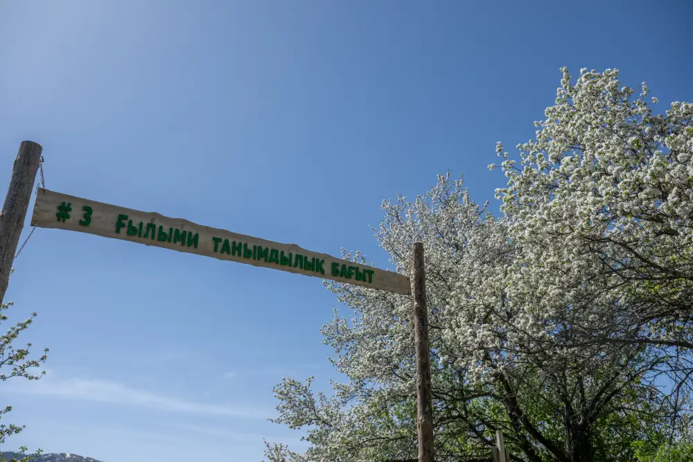 Экологический туризм в Жетісу: число посетителей национальных парков за год достигло 40 тыс. человек (2)