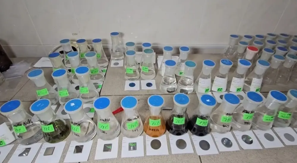 Впервые вуз ВКО принимает участие в программе Horizon Europe (7)