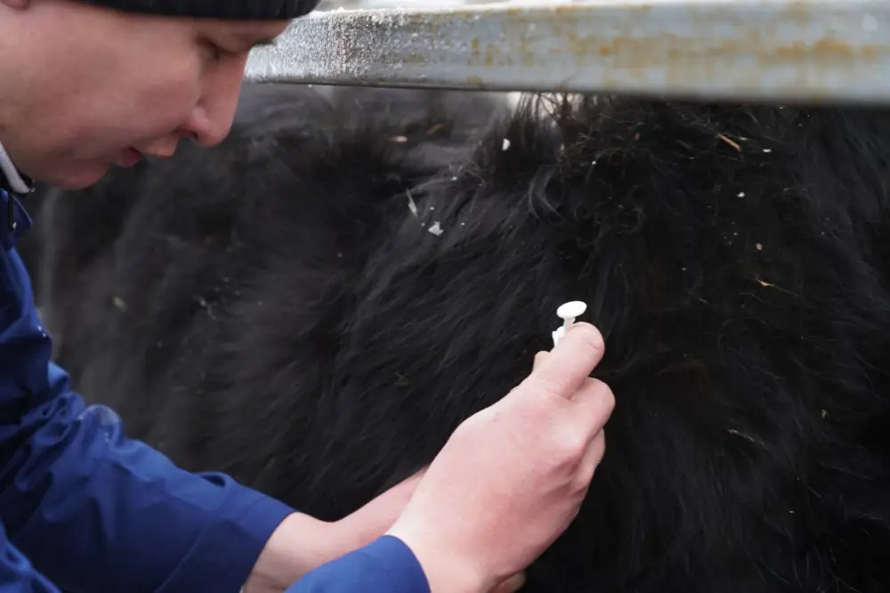 ТУРКЕСТАН: ОБСУЖДЕНЫ АКТУАЛЬНЫЕ ВОПРОСЫ АГРОПРОМЫШЛЕННОГО КОМПЛЕКСА (7)