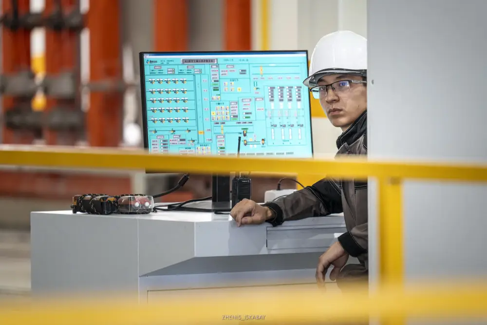 Итоги года в области Жетісу: регион занял 4 место в республике по исполнению плана привлечения инвестиций (2)