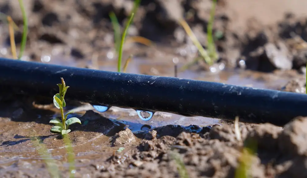 ЭКОНОМИЯ ВОДЫ – ВОПРОС НАЦИОНАЛЬНОЙ БЕЗОПАСНОСТИ: РЕАЛИЗАЦИЯ ПОРУЧЕНИЙ ПРЕЗИДЕНТА В РЕГИОНЕ ПРИНОСЯТ КОНКРЕТНЫЕ РЕЗУЛЬТАТЫ (8)