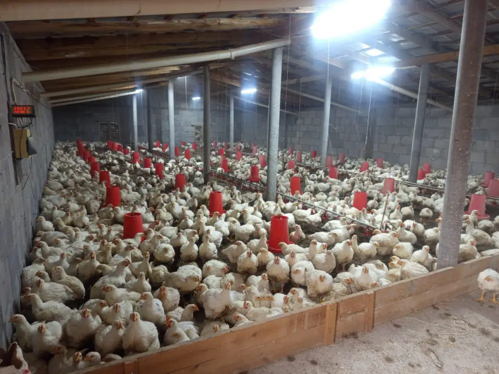 В ТУРКЕСТАНСКОЙ ОБЛАСТИ ОТКРОЮТСЯ НОВЫЕ ЗАВОДЫ И РАБОЧИЕ МЕСТА (5)