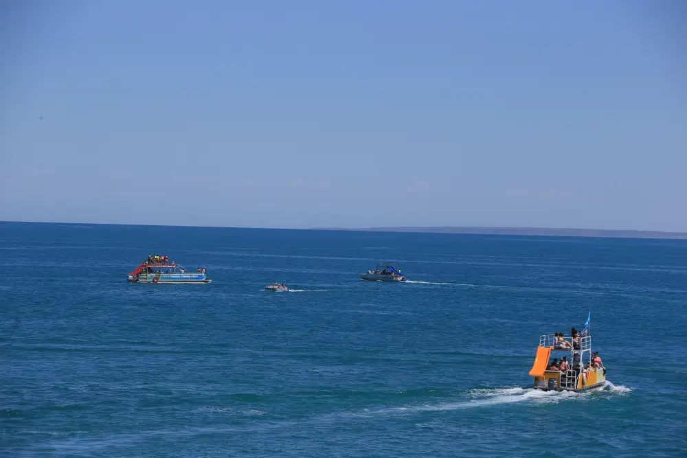 3 фестиваля области Жетісу вошли в cобытийный календарь культурно-туристских мероприятий Министерства туризма и спорта (9)