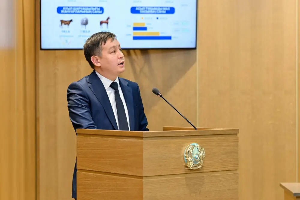 Состоялось заседание акимата области (8)
