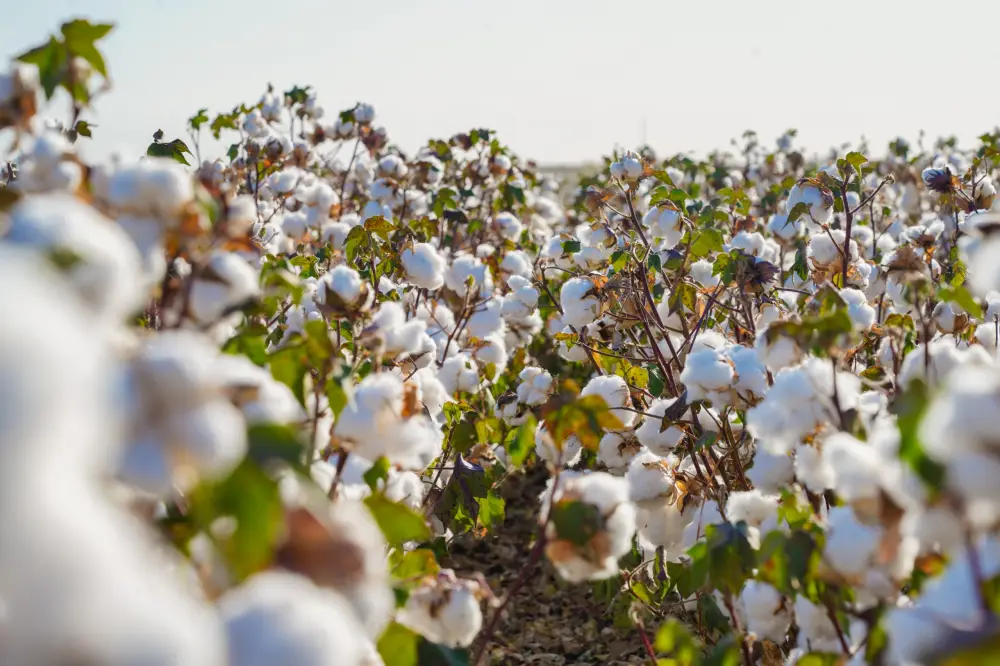 ЭКОНОМИЯ ВОДЫ – ВОПРОС НАЦИОНАЛЬНОЙ БЕЗОПАСНОСТИ: РЕАЛИЗАЦИЯ ПОРУЧЕНИЙ ПРЕЗИДЕНТА В РЕГИОНЕ ПРИНОСЯТ КОНКРЕТНЫЕ РЕЗУЛЬТАТЫ (3)