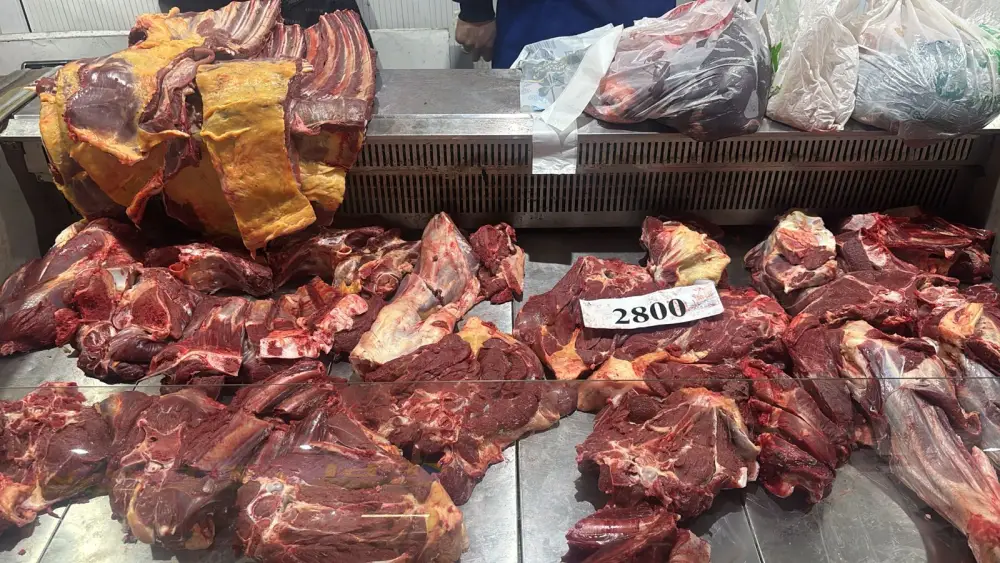 В Актобе прошла сельскохозяйственная ярмарка (3)