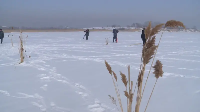 Чтобы рыба пережила зиму: на водоёмах Карагандинской области проводят противозаморные работы (6)