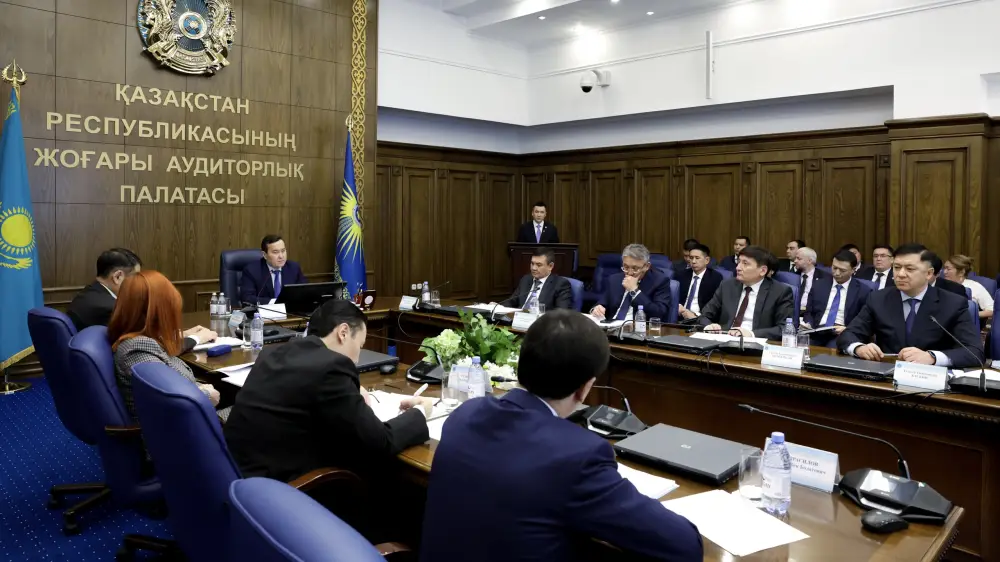 Подведены итоги аудита ВАП в городе Алматы (7)