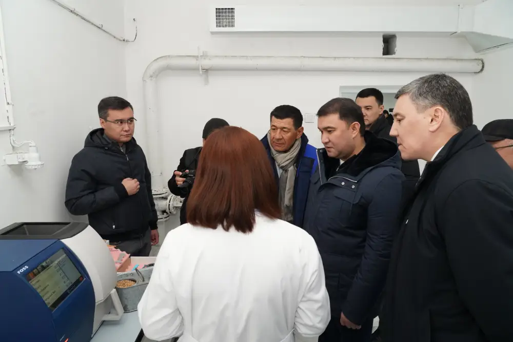 В ТУРКЕСТАНСКОЙ ОБЛАСТИ МОДЕРНИЗИРОВАН И ЗАПУЩЕН СОВРЕМЕННЫЙ ЗАВОД ПО ПЕРЕРАБОТКЕ ПШЕНИЦЫ (10)