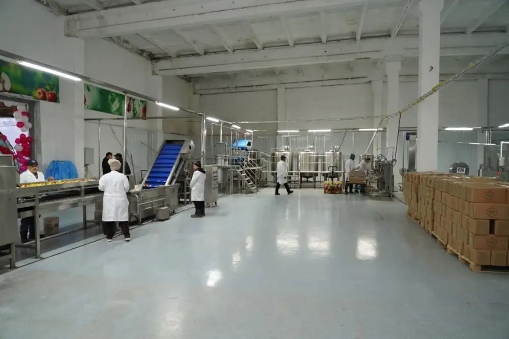 Завод по глубокой переработке фруктов и ягод запустили в Туркестанской области (3)