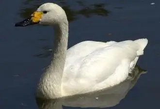 В Центральном парке Караганды появится открытый бассейн и музыкально-огненный фонтан (5)