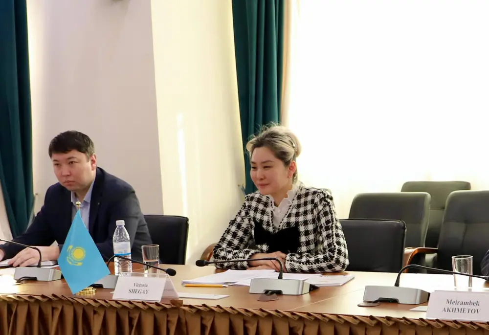 В. Шегай встретилась с представителем МОТ М. Пушкиным (3)