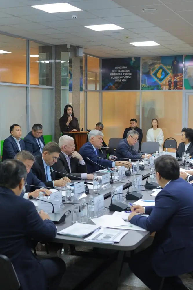 Общественный совет МЭКС рассмотрел итоги первого года реализации Национального проекта (3)