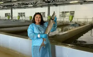 Капитан аквакультуры: как Сауле меняет рыбное хозяйство?