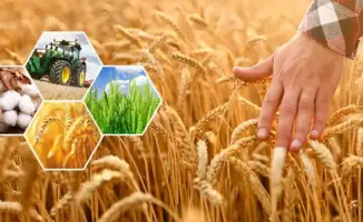 Рост агропромышленности в Актюбинской области