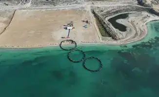 Успех первого проекта морской аквакультуры в Мангистауской области: лосось адаптировался и вырос