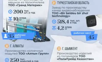 33 новых гиганта Казахстана: что они принесут?