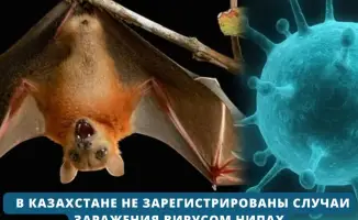 Казахстан усиливает контроль из-за вируса Нипах