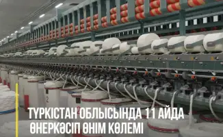 Рост промышленного производства в Туркестанской области: 1,4 трлн тенге за 11 месяцев 2025 года