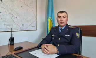 Герои спасения: международные истории мужества и человечности