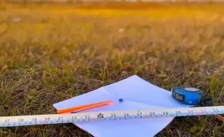 В регионе возвращены 2,1 млн га земель