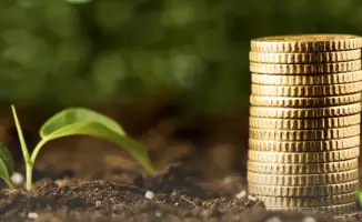 Списание штрафов от КазАгроФинанс: Возможности для заемщиков и влияние на финансовую нагрузку