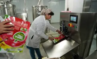 Запуск завода по переработке фруктов в Туркестанской области: поддержка местных фермеров и развитие региональной экономики