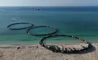 Рост производства рыбной продукции в Казахстане на 10% за 2025 год: последствия для отрасли и инвестиций