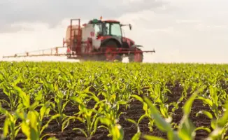 Алматинская область: аграрный сектор расцветает под крылом государственной поддержки