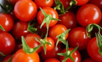 Зараженные семена: угроза из поднебесной в аэропорту Астаны