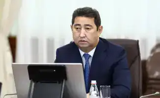 Комплексный план развития животноводства на 2026-2030 годы: меры для насыщения рынка и обеспечения ветеринарной безопасности