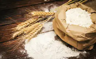 Производство 5 тонн кормовой муки в колонии Астана