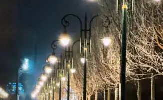 Создание комфортного пешеходного пространства в Алматы: улица Пушкина становится зеленым коридором