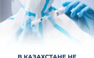 Ситуация с вирусом Нипах в Казахстане: случаев заражения не зафиксировано, усилен контроль на границе