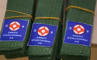 Пояса юным каратистам в школе №20 Астаны