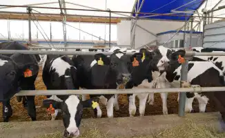 Акмолинская область демонстрирует значительный рост инвестиций в 2025 году