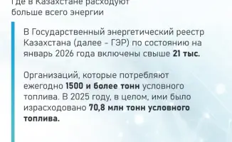 Энергетические расходы в Казахстане: анализ потребления более 21 тыс. организаций