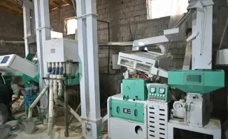 В Жетысае открыт новый рисоперерабатывающий цех с инвестициями в 190 млн тенге