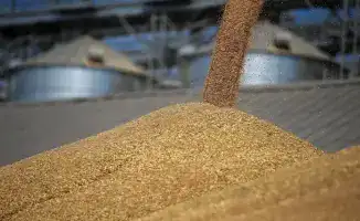 Зерно на весах: Продкорпорация увеличила отгрузки на 25% в 2025 году