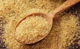 Строительство завода по производству желатина и коллагена в Алматы от Iskefe Holding