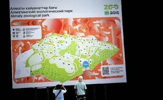 Использованные новогодние ёлки станут ресурсом для улучшения условий жизни животных в Алматинском зоологическом парке