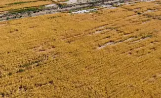 Вода на вес золота: как экономия спасает регион