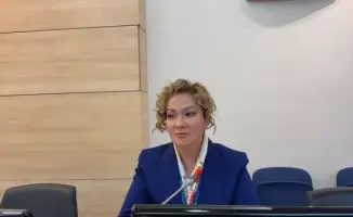 Назначение Салтанат Томпиевой послом ИКАО: новые горизонты для гражданской авиации Казахстана