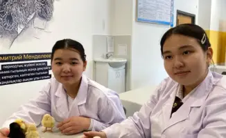 В Астане школьники самостоятельно вывели цыплят из инкубатора