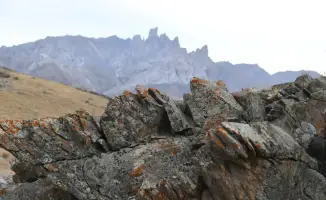 Сохранение культурного наследия в Туркестанской области: инициатива по включению объектов в список ЮНЕСКО