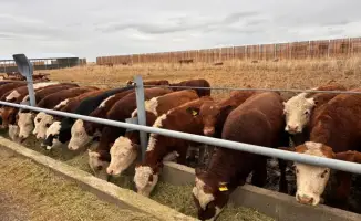 В Аксуатском районе строятся новые торговые и социальные объекты для поддержки малого предпринимательства