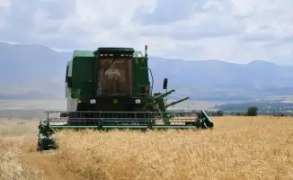 ТУРКЕСТАН: ГЛАВА РЕГИОНА ИНИЦИИРУЕТ РЕВИЗИЮ В АГРОПРОМЫШЛЕННОМ СЕКТОРЕ ДЛЯ ВОССТАНОВЛЕНИЯ ГОСУДАРСТВЕННЫХ РЕСУРСОВ