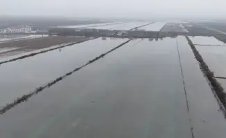 Промывка почвы в Туркестанской области продолжается